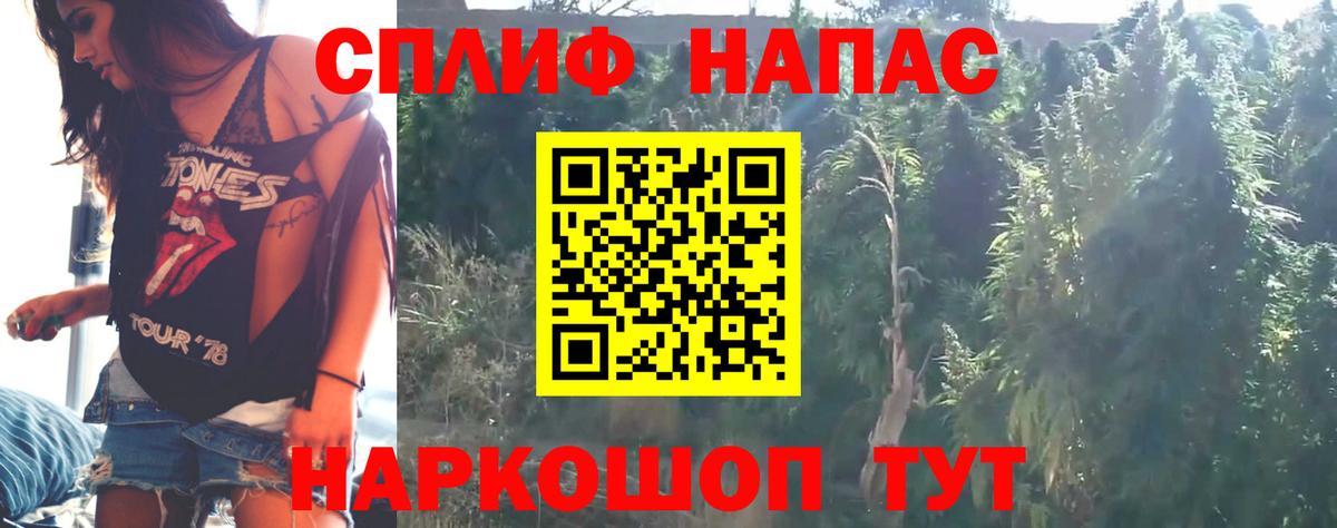 Тольятти  Марихуана Ganja  Конопля Amnesia  Конопля сатива  Вход с VPN  Конопля THC 21% 